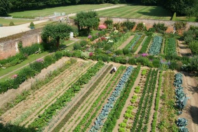 Chateau De Miromesnil Tourville-sur-Arques ภายนอก รูปภาพ